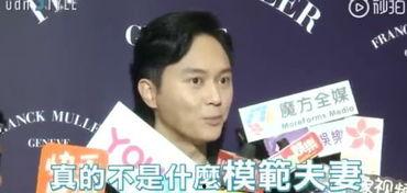 张智霖圈内人爆料视频大全,揭秘明星幕后故事 第3张 张智霖圈内人爆料视频大全,揭秘明星幕后故事 第3张