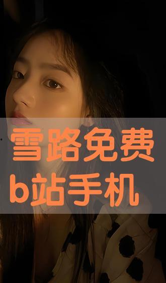 雪路免费在线观看,免费在线观看，探寻冬日里的温暖旅程  第1张