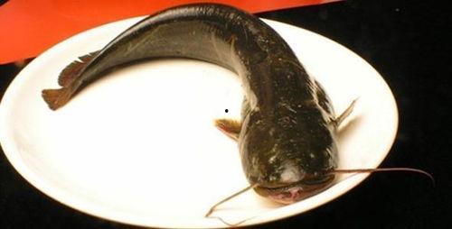 韩国鲶鱼爆料视频大全下载,揭秘娱乐圈幕后真相 第1张 韩国鲶鱼爆料视频大全下载,揭秘娱乐圈幕后真相 第1张