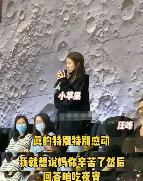 大顺妈妈爆料视频全集在线观看,揭秘幕后真相  第3张