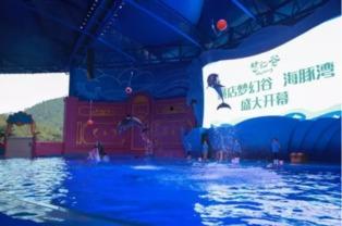 外国人爆料海豚湾视频,震惊世界的捕杀真相曝光  第1张