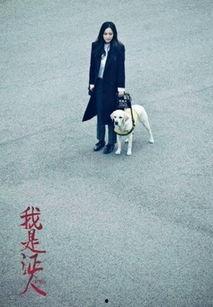 我是证人手机在线观看,揭秘真相，见证正义！  第2张